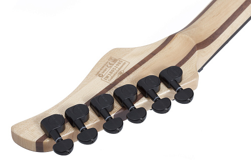 Schecter Reaper-6 SCB Электрогитара шестиструнная