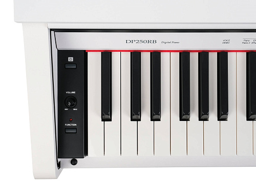 Medeli DP250RB-PVC-WH Цифровое пианино, белое, сатин