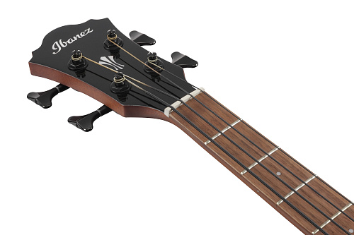 Ibanez AEGB24E-BKH Электроакустическая бас-гитара, цвет чёрный
