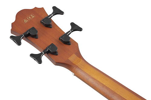 Ibanez AEGB24E-BKH Электроакустическая бас-гитара, цвет чёрный