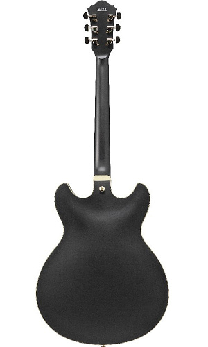 Ibanez AS73G-BKF Полуакустическая гитара, цвет черный