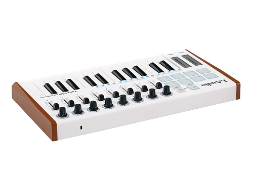 LAudio TUNAMINI MIDI-контроллер, 25 клавиш