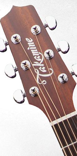 TAKAMINE PRO SERIES 1 P1DC Комплект: электроакустическая гитара, кейс