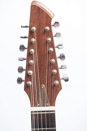 Neva Guitars RHNG12A017  , 12-