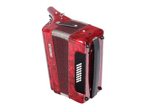 Aurus JH2019-RED Аккордеон 32/24, красный, с футляром