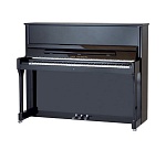 Фото:W.Steinberg 190045-1CK Performance P118 Акустическое пианино, черное