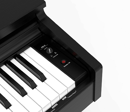 Orla CDP-2-ROSEWOOD Цифровое пианино, цвет палисандр