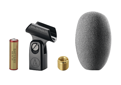 Audio-Technica AT8010 Микрофон конденсаторный вокальн./инстр. всенаправленный