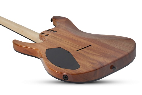 Schecter C-6 PRO ARB Гитара электрическая шестиструнная