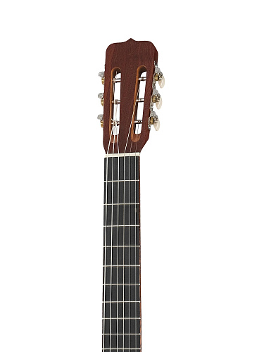 Presto GF-BN-20G Акустическая гитара, коричневая, глянцевая