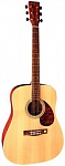 Фото:TENSON D10 гитара акустическая, дредноут, цвет натуральный
