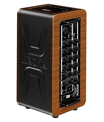 Aroma AG-60A Комбоусилитель для акустической гитары
