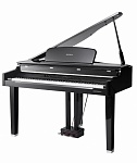 Фото:Kurzweil X-Pro MPG200 Цифровой рояль, черный