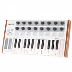 Фото:LAudio Worldemini MIDI-контроллер, 25 клавиш