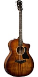 :TAYLOR 224ce-K DLX 200 Series Deluxe  , 