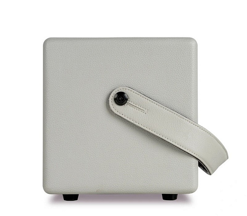 Mooer SD30i Комбоусилитель, 30 Вт, портативный