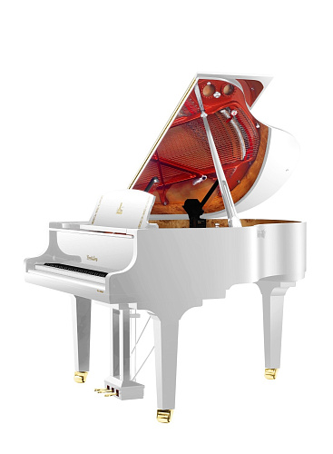 Wendl&Lung W162WH Рояль акустический, цвет белый