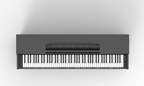 Orla CDP-2-ROSEWOOD Цифровое пианино, цвет палисандр