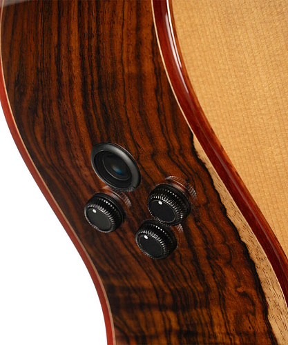 Cort Gold-A10-Cocobolo-WCASE-NAT Gold Series Электроакустическая гитара, с чехлом