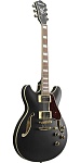 Фото:Ibanez AS73G-BKF Полуакустическая гитара, цвет черный