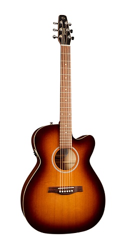 Seagull Entourage Rustic CW Concert Hall QIT  