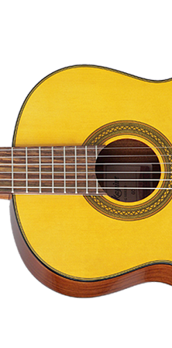 TAKAMINE G-SERIES CLASSICAL GC1 NAT Классическая гитара