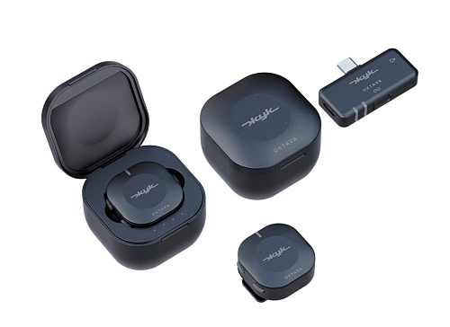 Октава ZHUK-2-CH Жук-2-Ч Беспроводная петличная микрофонная система, 2 передатчика, черная