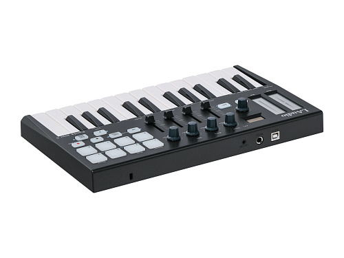 LAudio PANDAMINI-II MIDI-контроллер, 25 клавиш