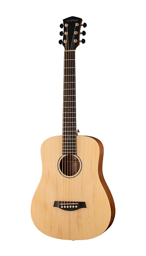 Parkwood S-Mini ADN Акустическая гитара, дредноут 3/4, с чехлом