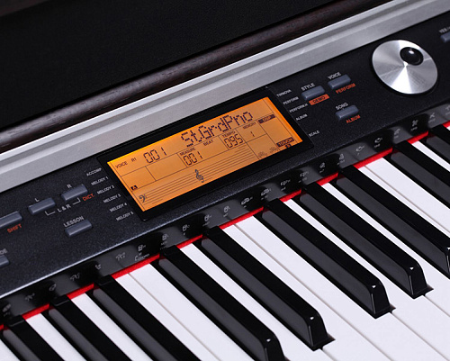 Medeli DP388-BK Цифровое пианино, темно-коричневое