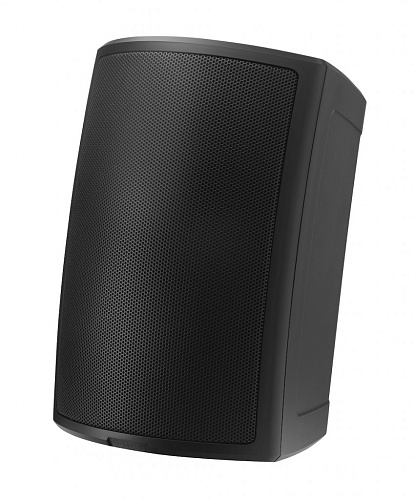 Tannoy AMS 6ICT Пассивная акустическая система