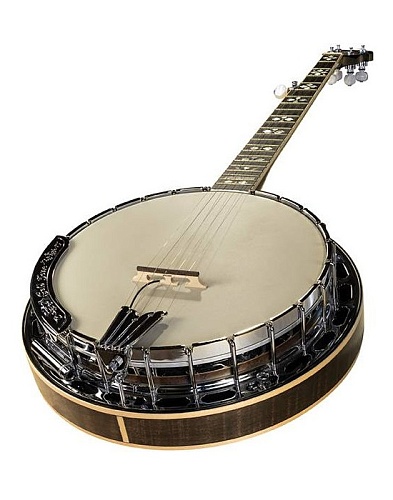 LR Baggs Banjo   