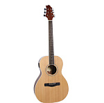 Фото:GregBennett P2T/N   акустическая гитара