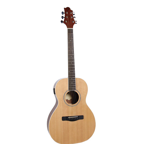 GregBennett P2T/N   акустическая гитара