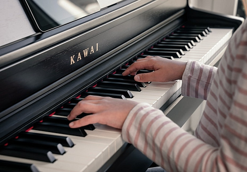 Kawai CN301 R Цифровое пианино с банкеткой, цвет палисандр