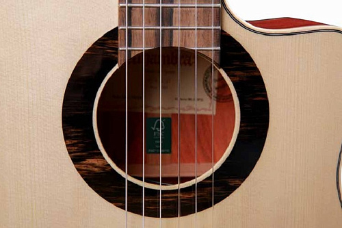 Alhambra 8.897 Green Sustain CTW E8 Классическая гитара со звукоснимателем