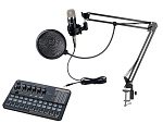 Фото:Foix V10XPRO+BM900 Набор для стрима, конференций, игровой, студийный (микрофон, звуковая карта)