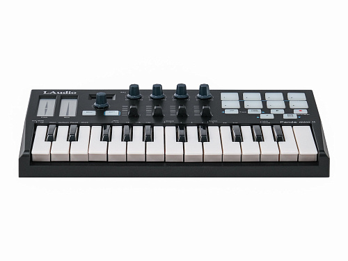 LAudio PANDAMINI-II MIDI-контроллер, 25 клавиш
