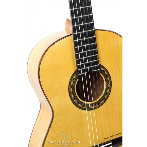 PRUDENCIO 22 Flamenco Guitar  