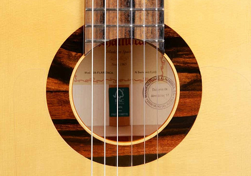 Alhambra 8.896 Green Sustain Flamenco Классическая гитара