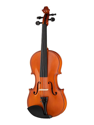 Fleet FLT-VP4/4 Скрипка в комплекте