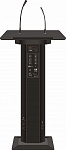 Фото:SVS Audiotechnik LR-100 Black Мобильная трибуна со встроенным усилителем и динамиком 100Вт