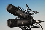 Фото:Октава 319211 МК-319-Ч-С Микрофон универсальный конденсаторный, стереопара, черный, в картонной коробке