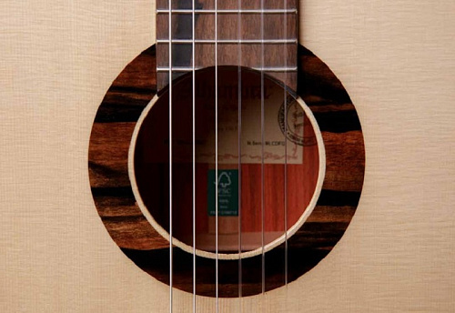 Alhambra 8.895 Green Sustain Clasical Классическая гитара