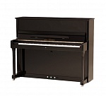 Фото:W.Steinberg 190046-1CK Performance P121 Акустическое пианино, черное